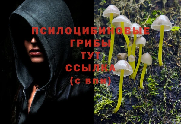 PSILOCYBIN Гусев